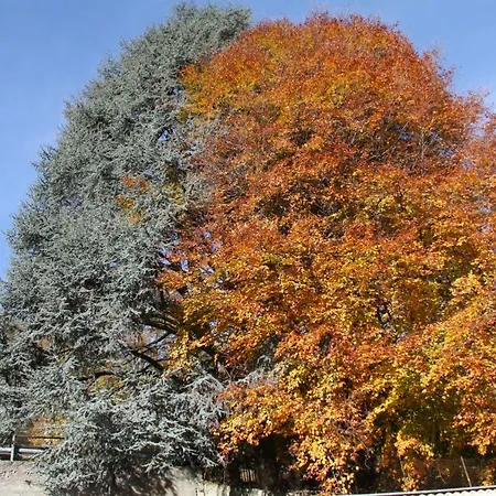Casa Mauri Casa vacanze Bellagio