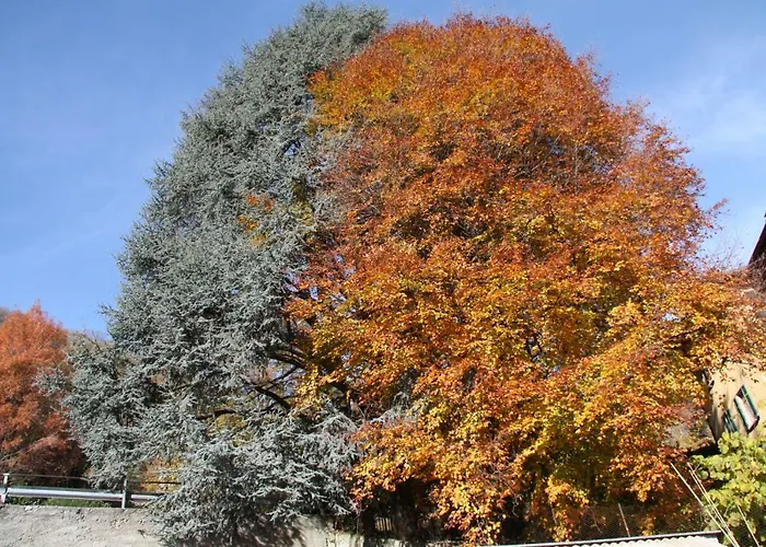 Casa Mauri Tatil Evi Bellagio